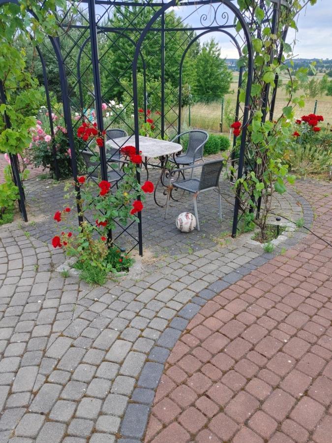 Apartamentypomorze Białogóra Kültér fotó